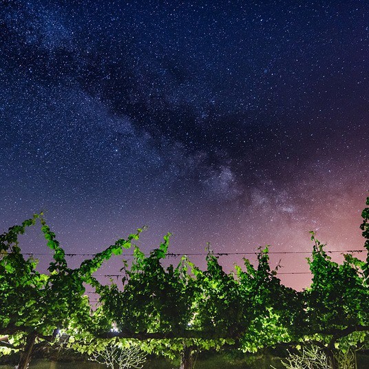 Corey Creek View of the stars