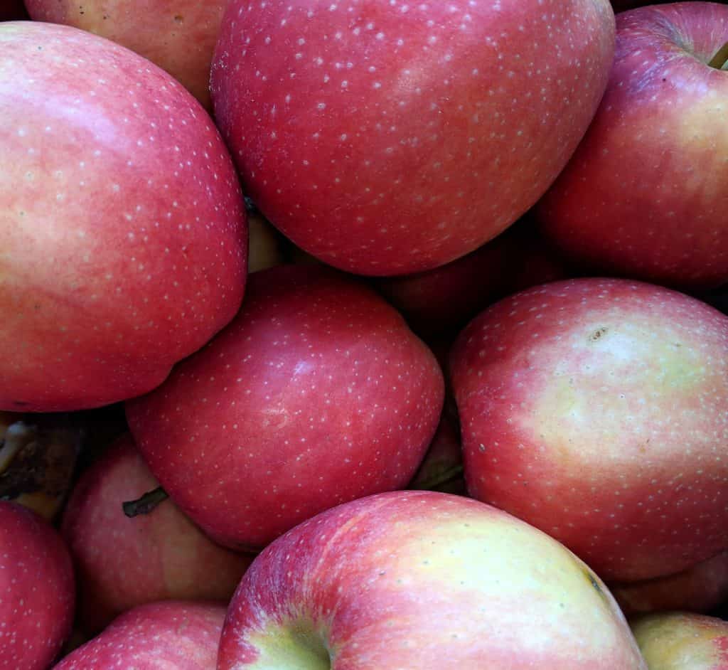 Apples